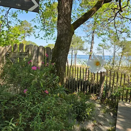 Le Domaine Des Du Villa Biscarrosse