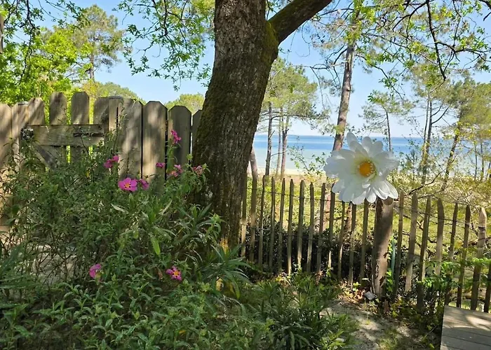 Le Domaine Des Du Villa Biscarrosse