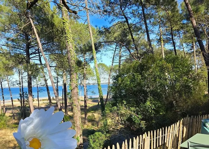 Le Domaine Des Du Villa