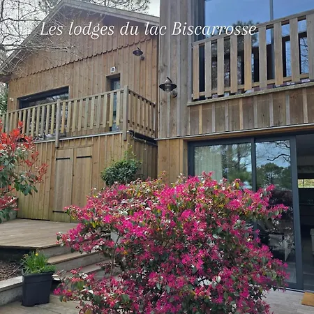Le Domaine Des Du Biscarrosse