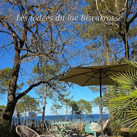Le Domaine Des Du Biscarrosse